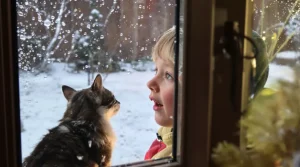 Cet agrume que vous jetez chaque matin peut devenir un refuge précieux pour les oiseaux du jardin cet hiver