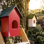 J'ai installé un nichoir au jardin mais aucun oiseau ne vient : voici pourquoi