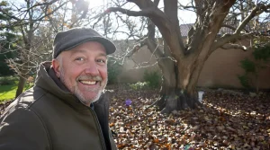 Jardiniers : cette vivace d’ombre méconnue illumine l’hiver, nourrit les abeilles et étouffe les mauvaises herbes