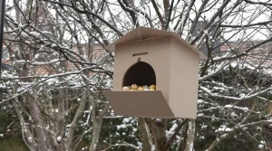 Ne jetez plus vos vieilles boîtes d’œufs, je les transforme au jardin pour attirer les oiseaux tout l’hiver