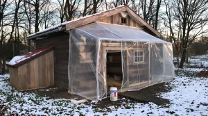 Pourquoi de plus en plus d’éleveurs posent un rideau dans le poulailler l’hiver (et ce que ça change vraiment pour les œufs)