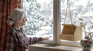 À quel moment faut-il arrêter de nourrir les oiseaux du jardin pour bien les protéger ?