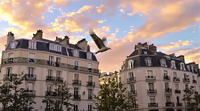 Rare en ville hier, désormais fréquent : cet oiseau majestueux s’installe hors des campagnes et offre un magnifique spectacle aux citadins