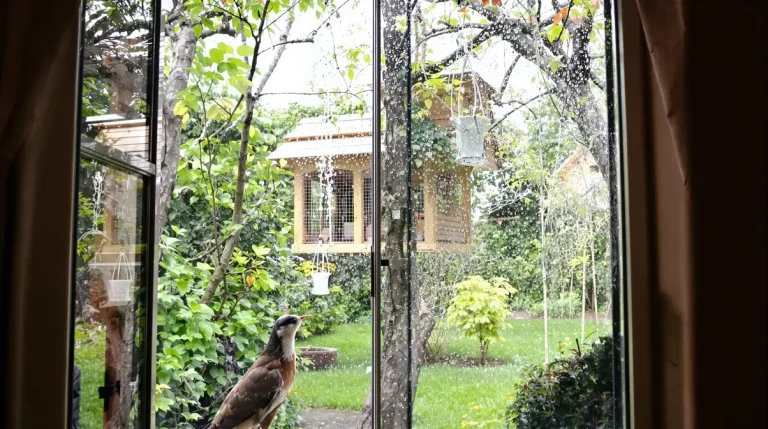 Voici pourquoi la présence de mésanges révèle un grave problème dans votre jardin