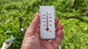 La date précise à partir de laquelle il faut vraiment commencer à réduire le nourrissage des oiseaux