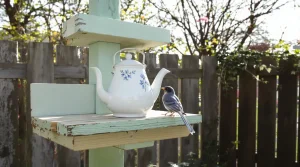Ne le jetez pas : cet ustensile de cuisine devient un nichoir parfait dès le printemps