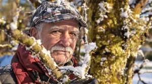 Protégez vos arbres fruitiers naturellement : pratiquez le chaulage pour stopper maladies et parasites