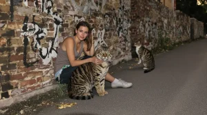 Surpopulation féline et biodiversité menacée : la SPA dévoile ses solutions concrètes pour une cohabitation harmonieuse